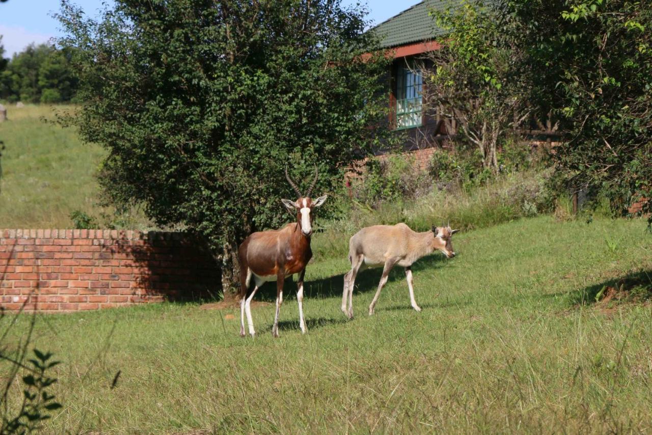 Malolotja Log Cabins Mbabane Exterior foto